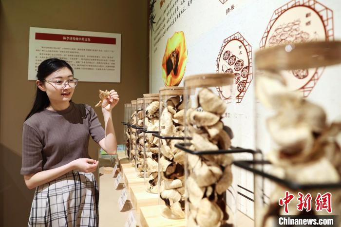 【中国新闻网】“中医药非遗主题展”娓娓讲述中医药的“生生之道”